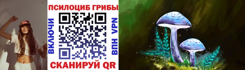 Псилоцибиновые грибы мицелий  Купить  Новосиль 