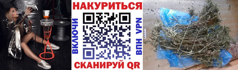 Купить где  Новосиль  Бошки Шишки OG Kush 